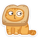 cat37    {cat37} {cat37}